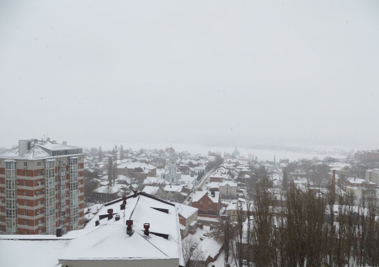 квартира г Воронеж р-н Центральный ул Арсенальная 4а фото 3