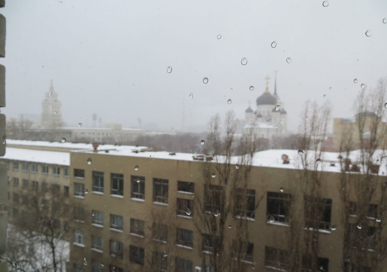 квартира г Воронеж р-н Центральный ул Арсенальная 4а фото 5