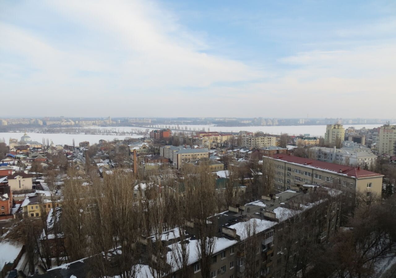 квартира г Воронеж р-н Центральный ул Арсенальная 4а фото 28