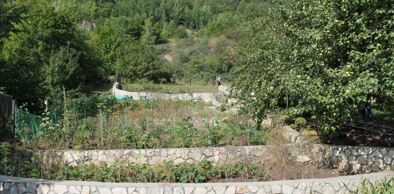 дом г Жигулевск с Ширяево садовое общество, 7, Ягодка фото 4