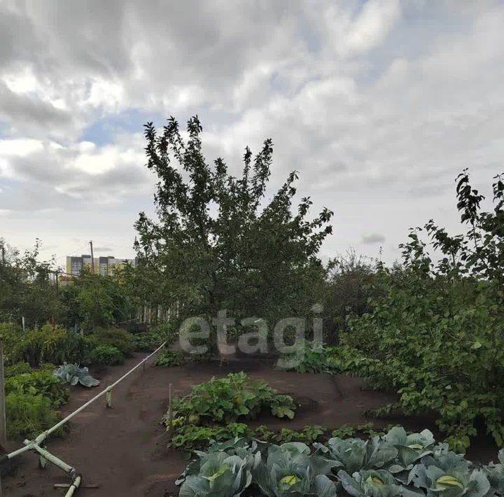 земля г Южноуральск снт АИЗ-2 фото 12