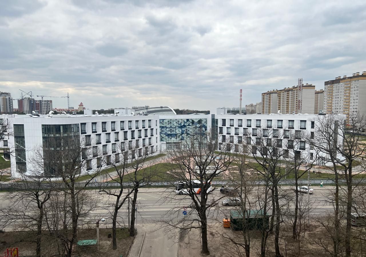 квартира г Воронеж р-н Центральный ул Ломоносова 118 фото 11