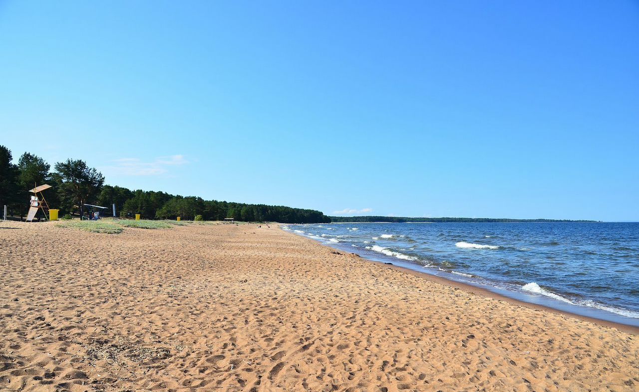 земля г Сосновый Бор Сосновоборский г. о., СНТ Приморский, Лыжная ул фото 31