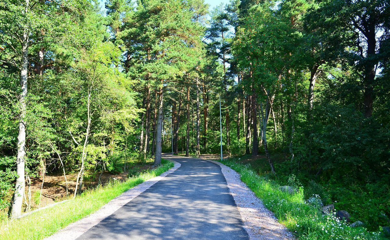 земля г Сосновый Бор Сосновоборский г. о., СНТ Приморский, Лыжная ул фото 32