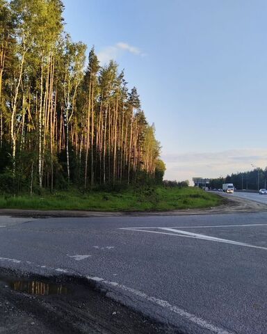 24 км, М-8 Холмогоры, 42-й километр, Ярославское шоссе фото