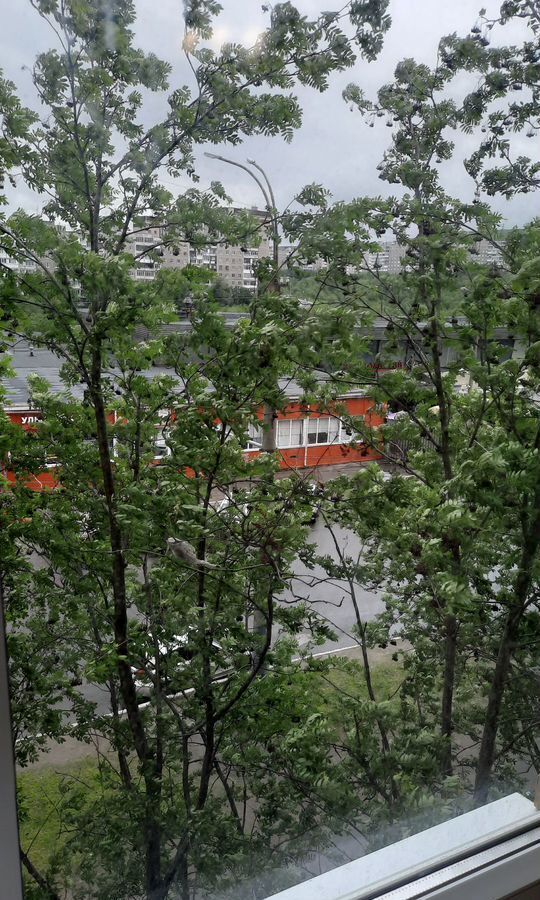 квартира г Мурманск р-н Первомайский ул Генерала Щербакова 16 фото 17