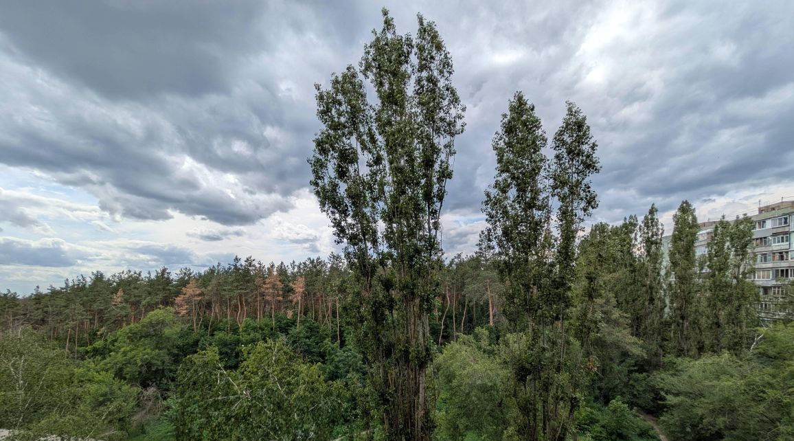 квартира г Воронеж р-н Советский ул Космонавта Комарова 11 фото 27