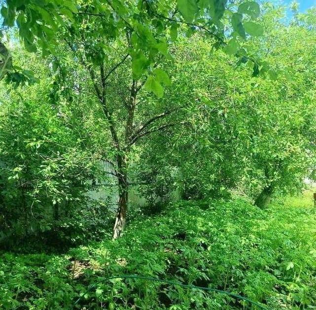 земля г Брянск р-н Советский Коммунальник садовое общество фото 8