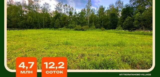 коттеджный посёлок Тюльпаново вилладж, 7 фото