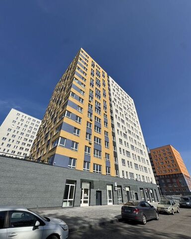 р-н Советский ул Героя Советского Союза Аристархова 8 ЖК «Зенит» фото