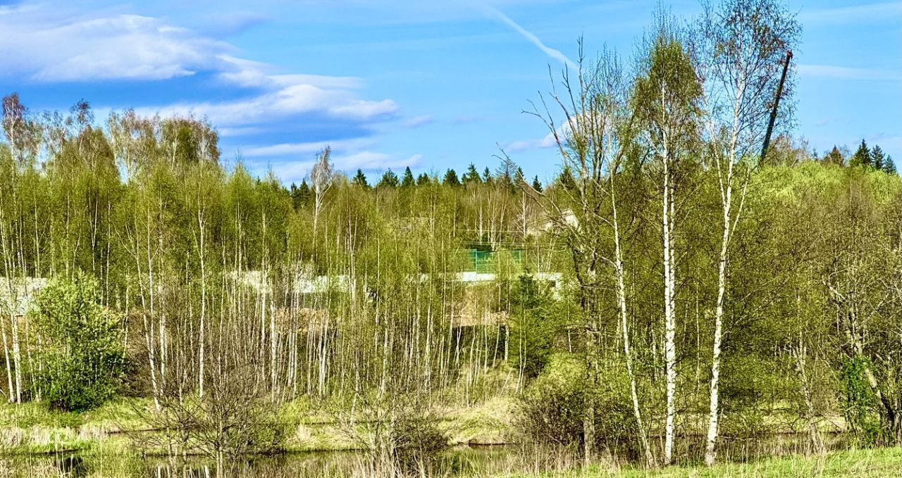 земля г Истра 18, Kotovo, Moskovskaya oblast, Russia, 143521 фото 2