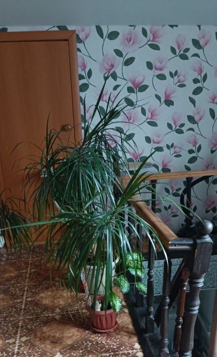 дом г Бор ул Свердлова фото 3