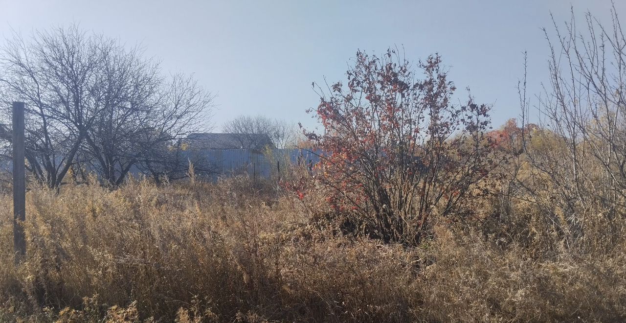 земля г Благовещенск СТ Колосок фото 5
