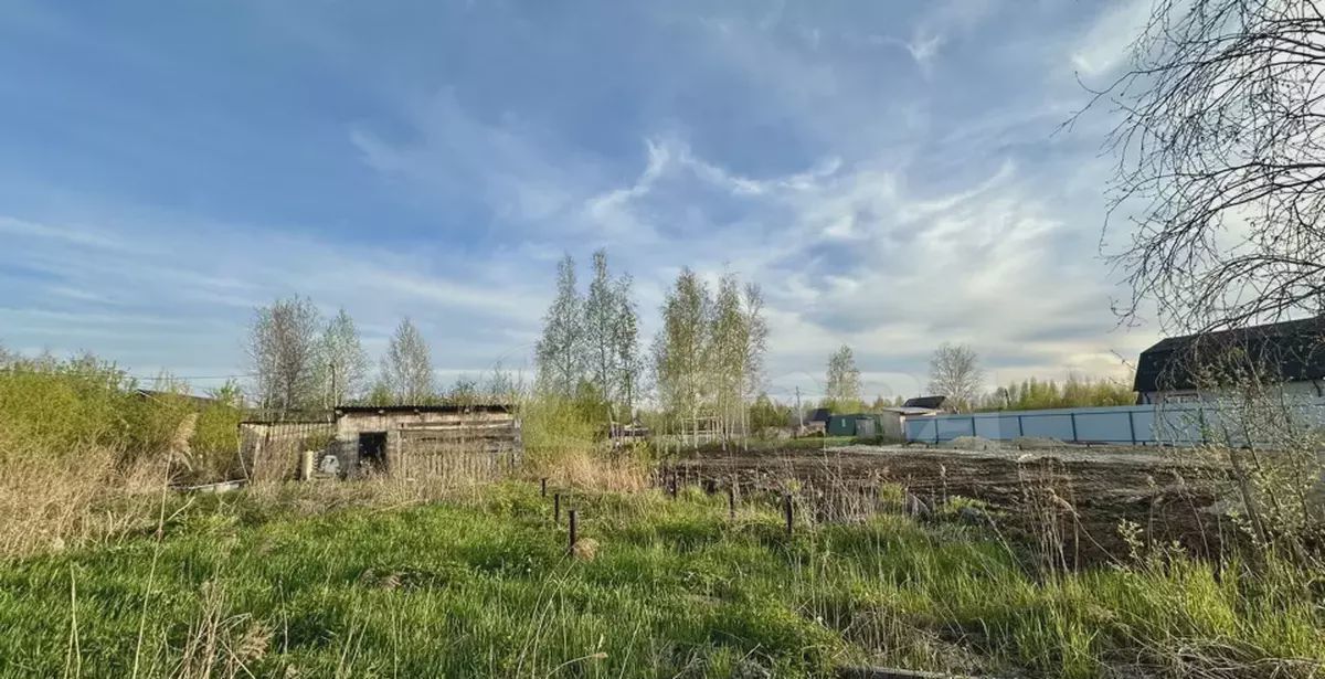 земля г Тюмень р-н Центральный территория СОСН Берёзка-3 фото 2