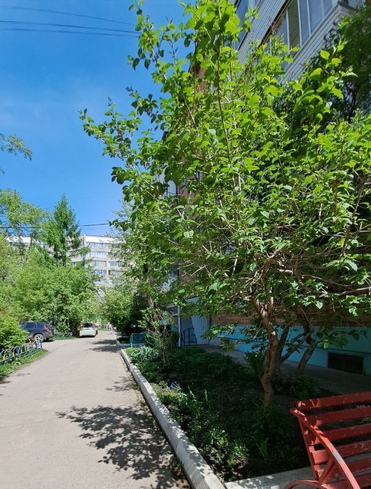квартира г Назарово ул. Карла Маркса, 44А фото 26