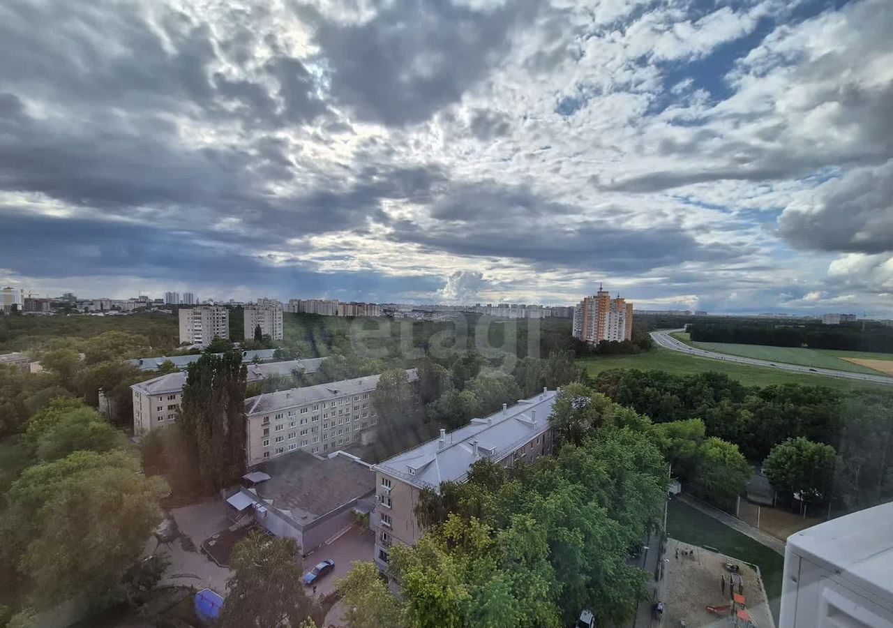 квартира г Воронеж р-н Центральный ул Березовая роща 54/2 фото 4
