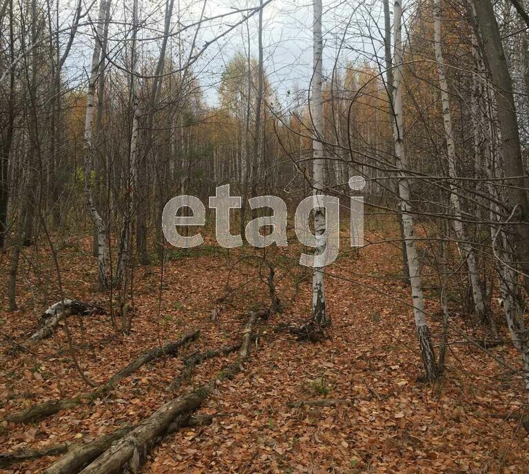 земля г Ирбит ул Благодатная фото 3