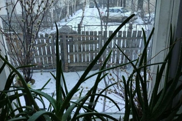 ул Железнодорожная 8 фото