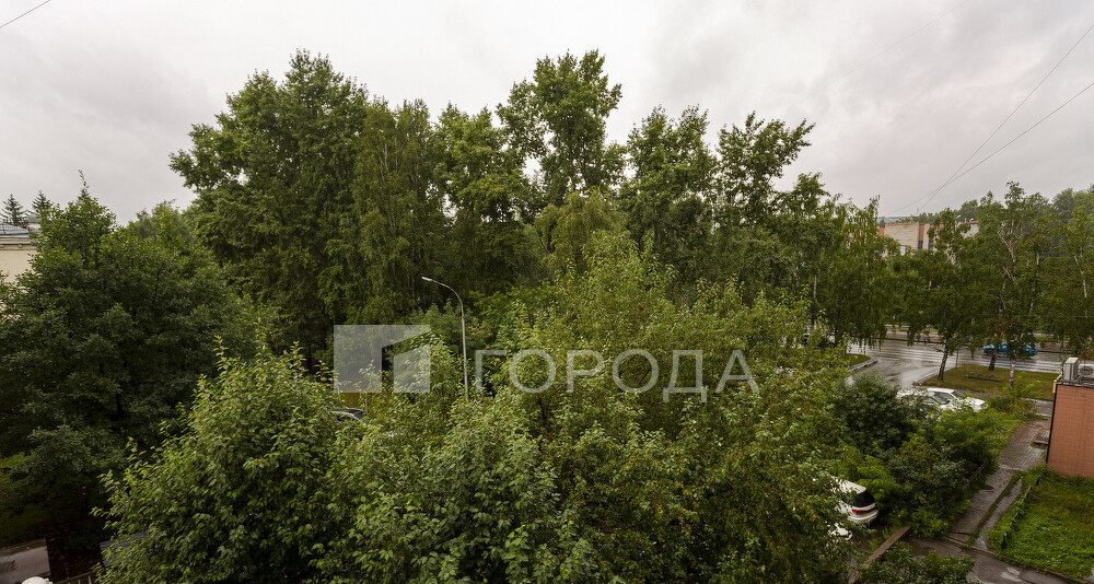 квартира г Новокузнецк р-н Центральный пр-кт Бардина 36 Кузбасс фото 9