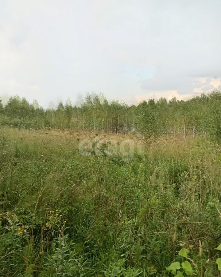 земля г Томск п Родионово ул Российская р-н Советский фото 1