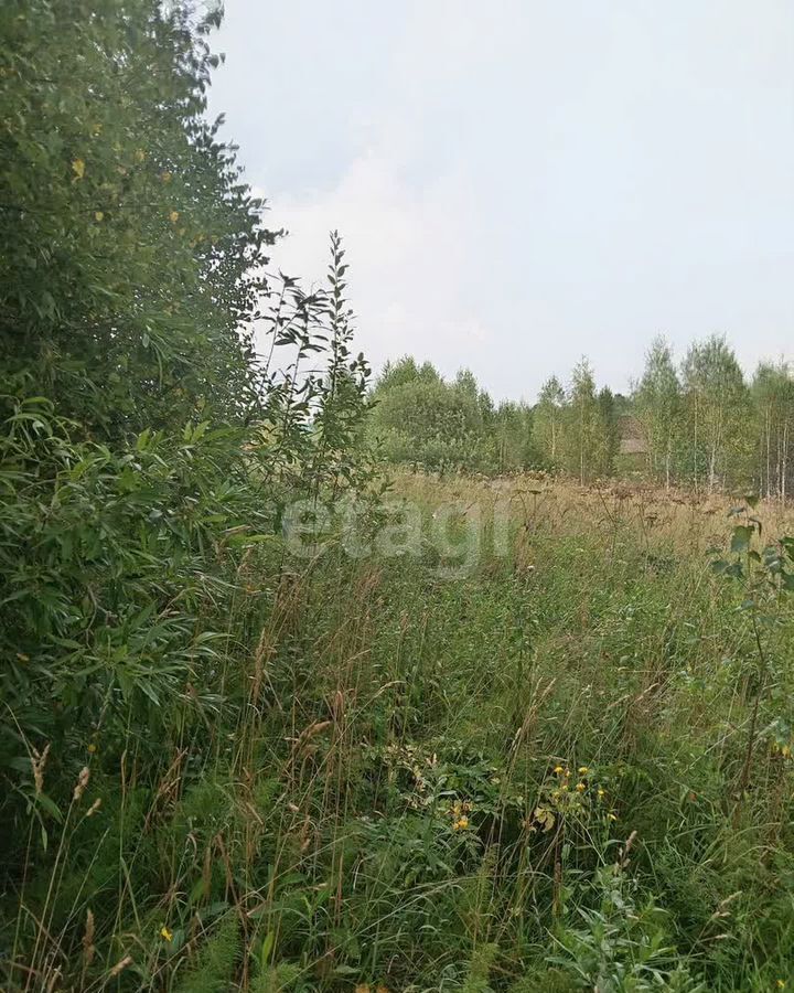 земля г Томск п Родионово ул Российская р-н Советский фото 3