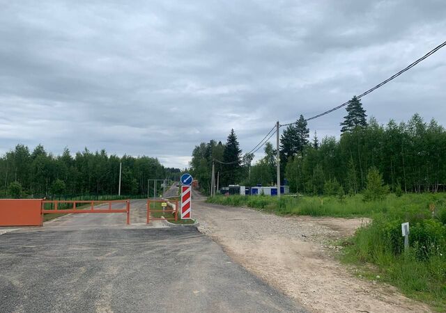 снт Заря-1 21 км, 178, Фрязино, Фряновское шоссе фото