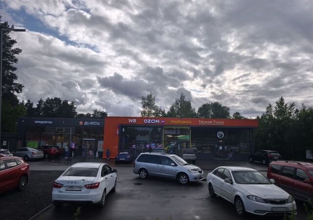 днп Отдых Трудящихся Токсовское городское поселение, городской пос. Токсово, Сиреневая аллея, 171А, Токсово фото