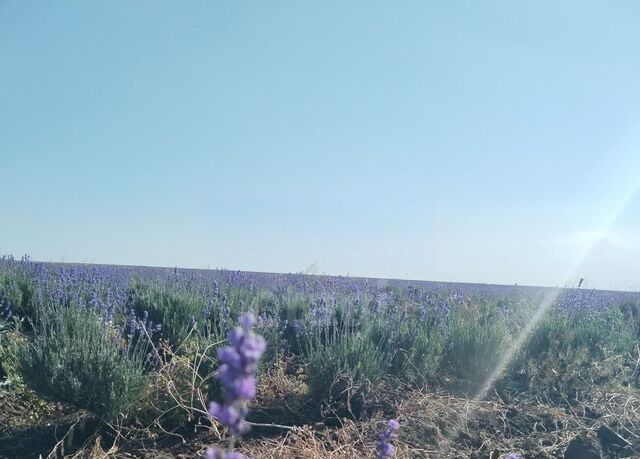 ул Набережная Семисотское с/пос фото