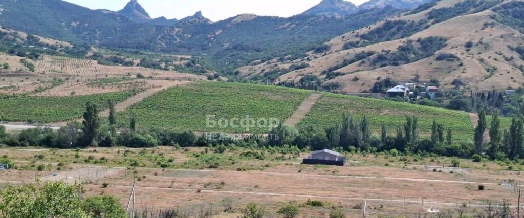 земля г Феодосия пгт Курортное ул Науки 6д фото 3