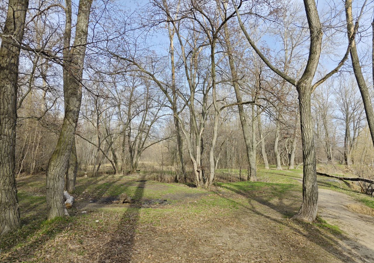 квартира г Самара р-н Куйбышевский ул Белорусская 91 фото 12