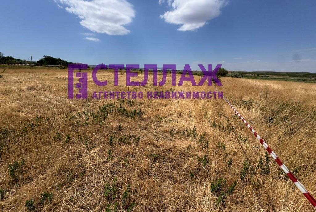 земля г Феодосия с Насыпное фото 2
