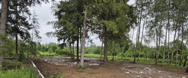 Лесницыно кп, ул. Лунная, 45 фото
