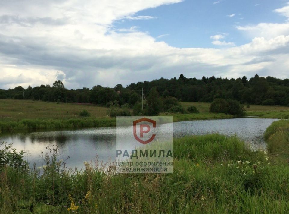 земля г Домодедово снт Витязь СНТСН, Сергиево-Посадский городской округ фото 3