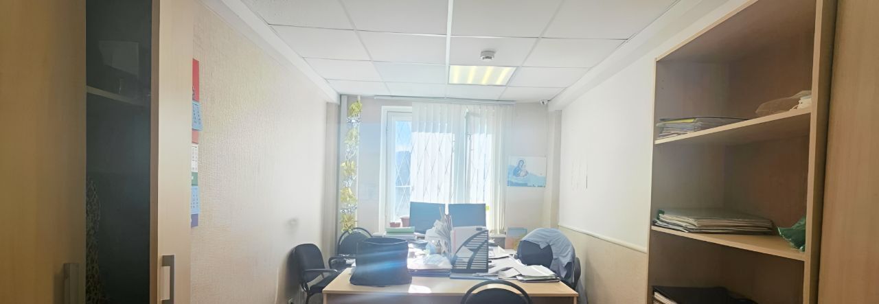 офис г Нижний Новгород р-н Нижегородский Горьковская пер Бойновский 17 фото 3