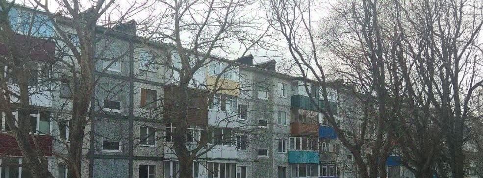 квартира г Петропавловск-Камчатский ул Штурмана Елагина 11 фото 16