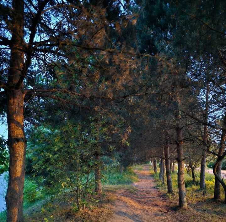 дом г Тверь р-н Заволжский пер Бережок 3 фото 26
