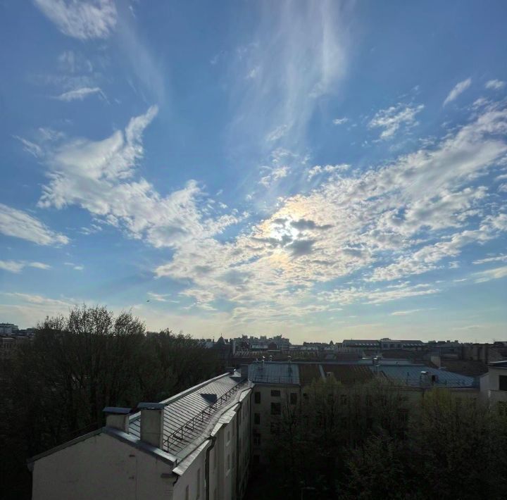 квартира г Санкт-Петербург метро Фрунзенская пр-кт Малодетскосельский 40 клубный дом «Идеалист» округ Семёновский фото 4