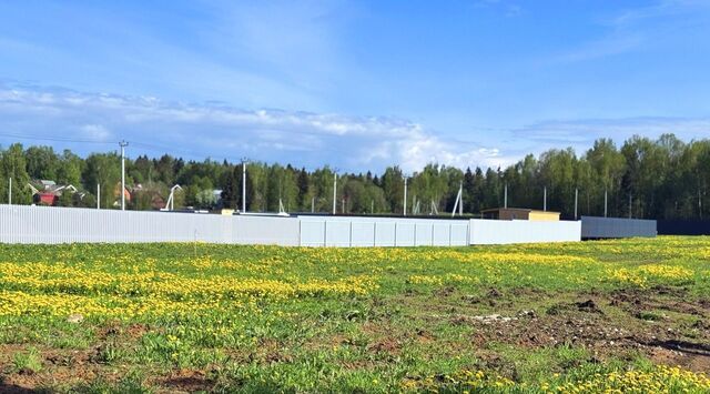 54, Пушкинский городской округ, Калистово кп фото