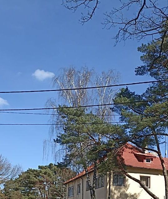 торговое помещение р-н Светлогорский г Светлогорск ул Гагарина 9б фото 1