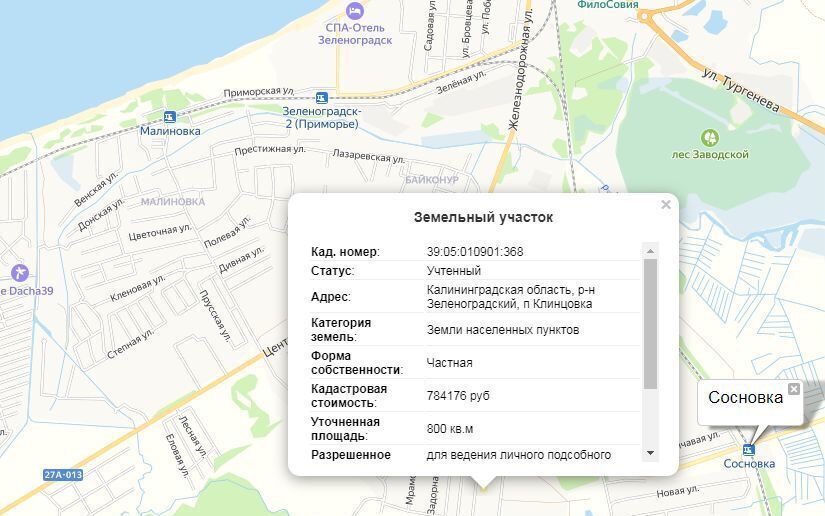 земля р-н Зеленоградский г Зеленоградск ул Витебская фото 2