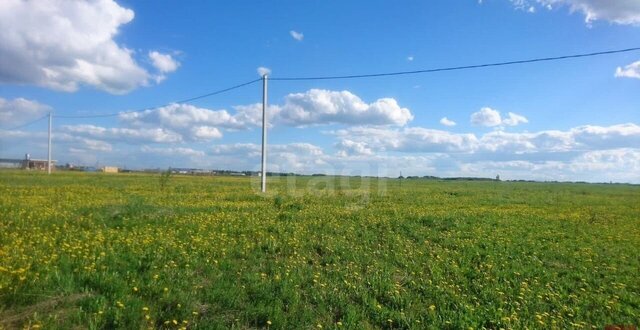 земля Республика Татарстан Татарстан, муниципальное образование Арск, Арск фото
