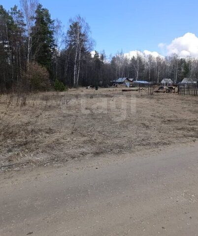 муниципальное образование Клязьминское фото