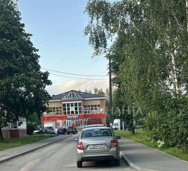 квартира г Смоленск р-н Промышленный ул Рыленкова 43 фото 27