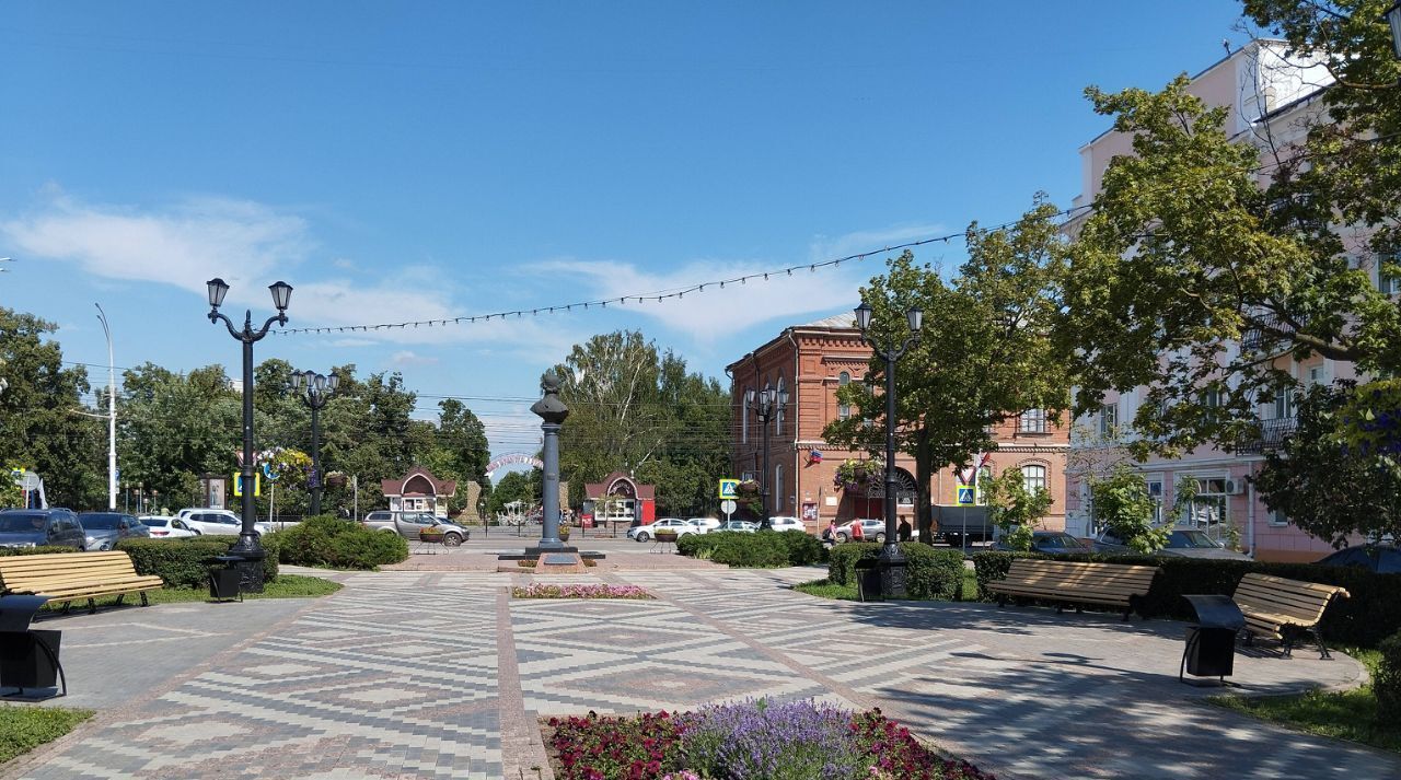 квартира г Тамбов р-н Ленинский ул Державинская 13 фото 13