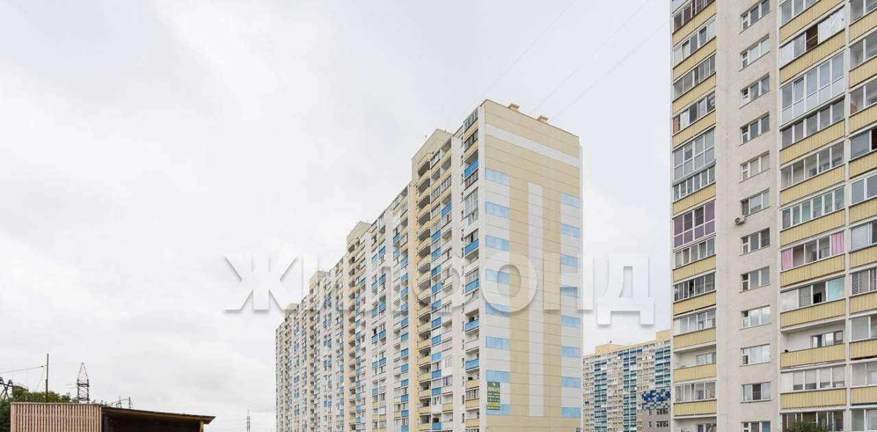квартира г Новосибирск ул Виктора Уса 15 Площадь Маркса фото 21