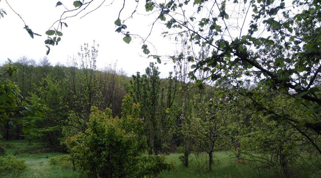 земля г Горячий Ключ х Кура-Цеце ул Горького 26 фото 3
