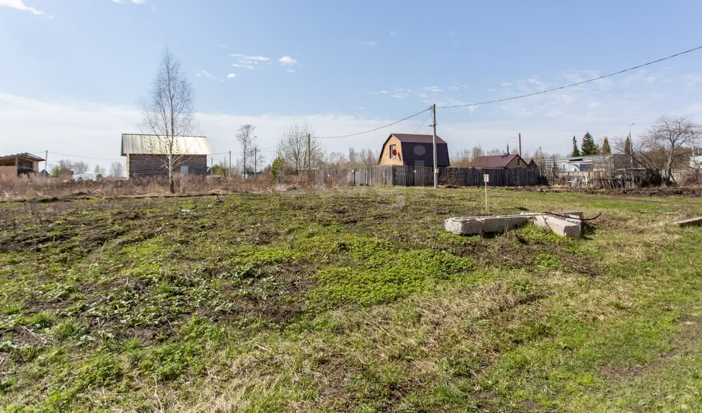 земля г Тобольск ул Западная садоводческое товарищество Родничок фото 9