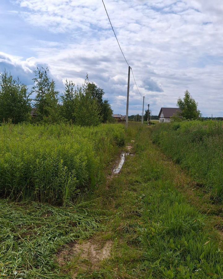 земля р-н Городецкий г Городец Череповская ул, д. Серково фото 4