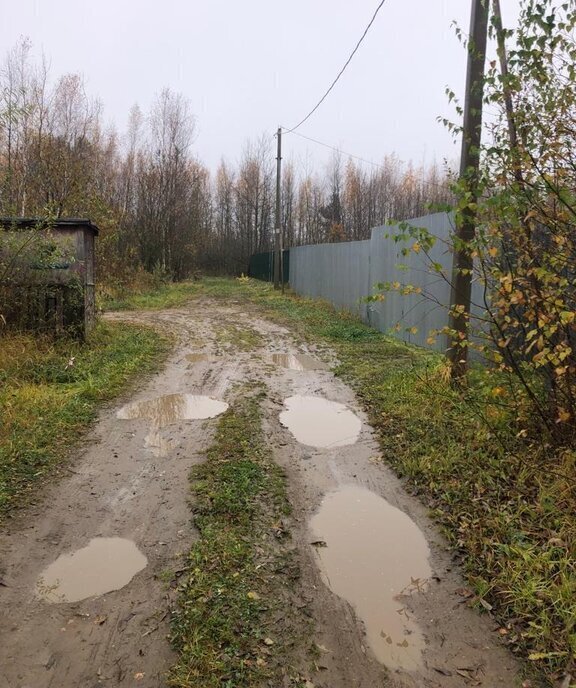 земля городской округ Богородский г Ногинск снт Ясень фото 2