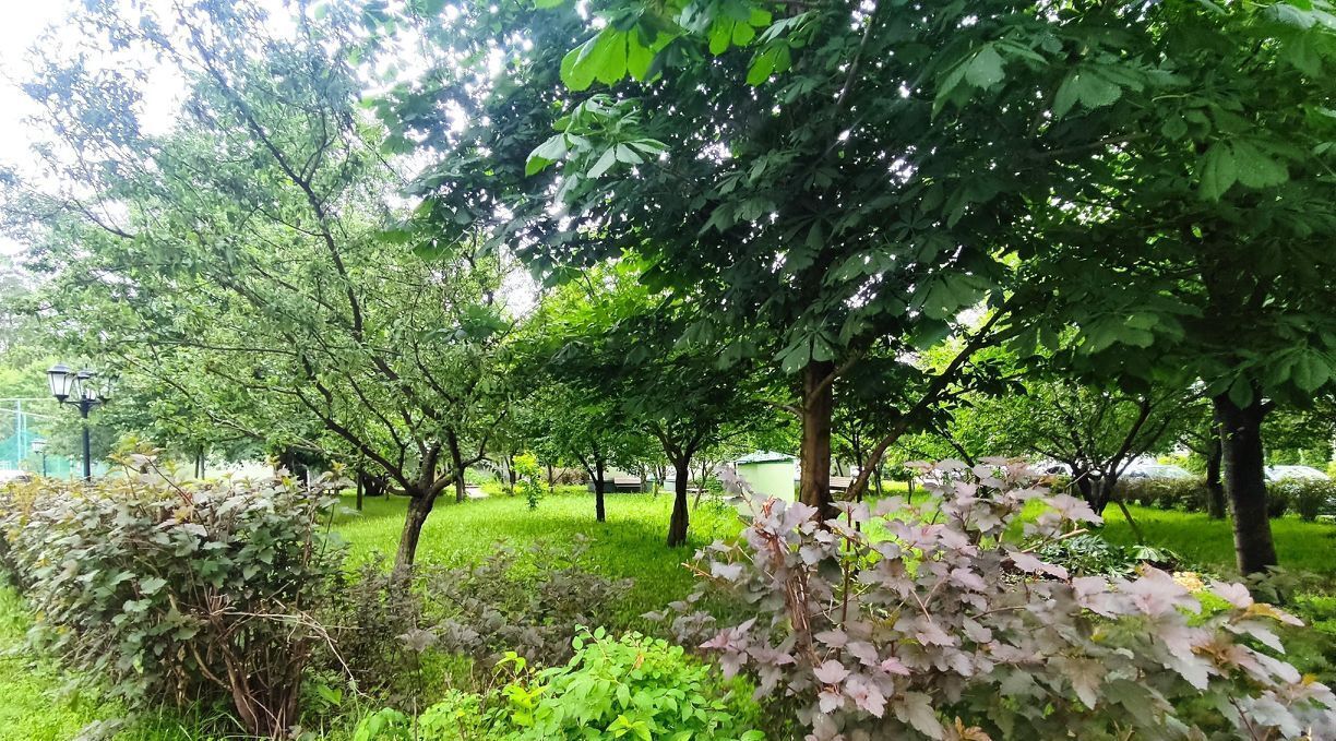 квартира г Жуковский район Отдых ул Амет-хан Султана 15к/2 фото 25
